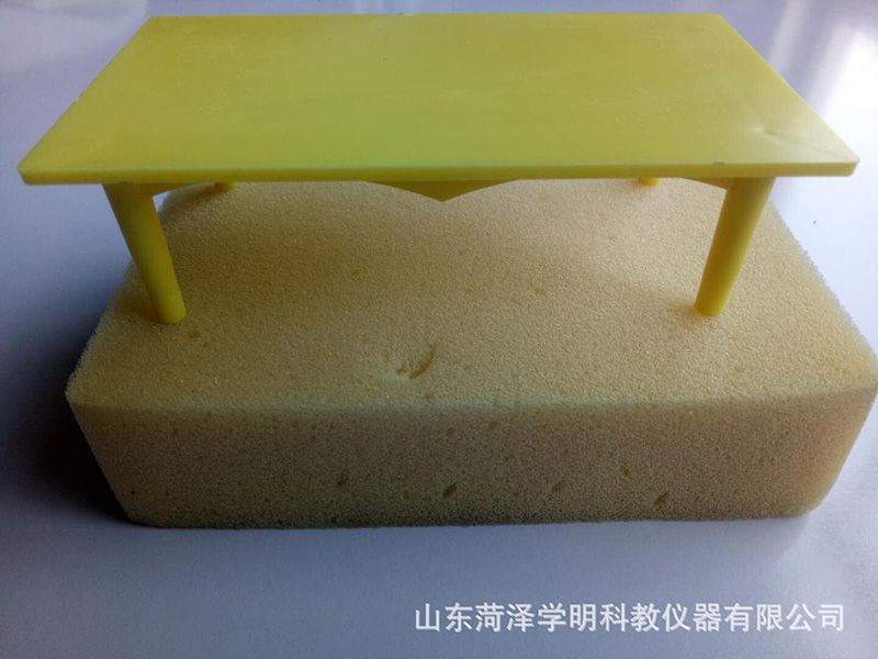 压力和压强实验器