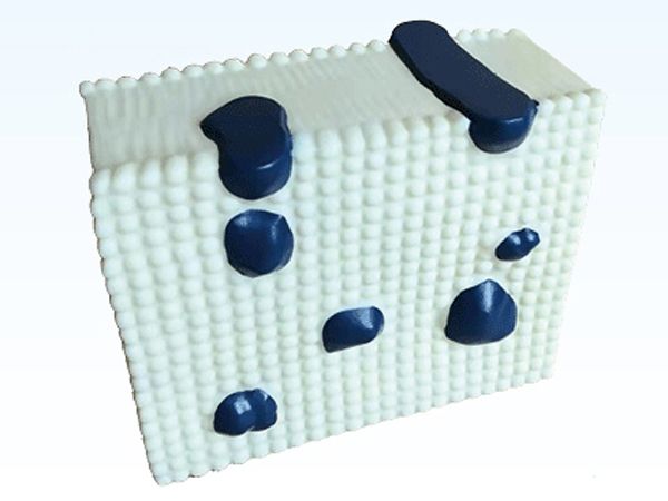 细胞膜结构模型